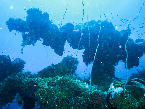 Truk Lagoon, Micronesia on Dec 7, 2014: Machine gun on sunken Japanese naval vessel