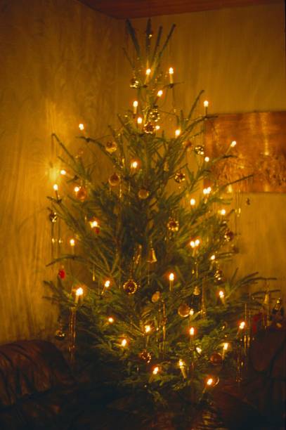 istock Glowing fairy lights on Christmas trees 1443354139