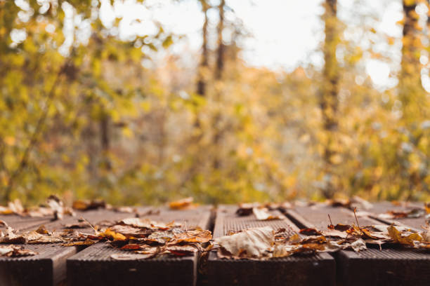 istock Empty wooden surface and beautiful autumn leaves on blurred background, space for text 1443354315