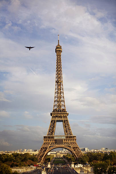 istock Eiffel Tower in Paris France 144335756