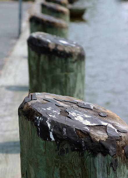 istock Dock Pilings showing perspective into the distance 144335821