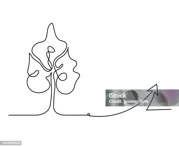 Direction Tree Design Abstract Tree With Direction As Line Drawing On The White Background ...