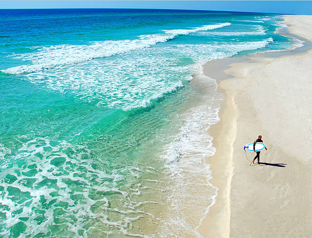 lone surfer sur la plage - pensacola photos et images de collection