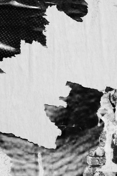 istock Blank white black old ripped torn paper crumpled creased posters grunge textures backdrop backgrounds placard 1443360568