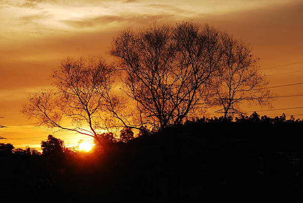 Atardeceres - foto de stock