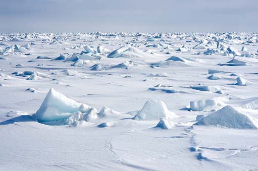 Drifting Ice floe on the frozen surface of the cold winter sea