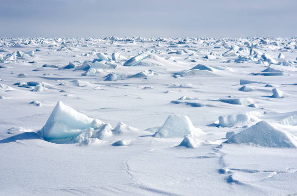 2,500+ Arctic Ice Flow Stock Photos, Pictures & Royalty-Free Images -  iStock