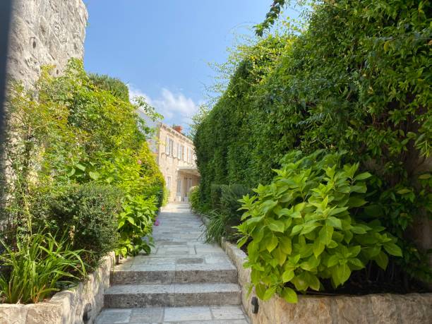 istock Old house, Cavtat, Croatia 1443367694