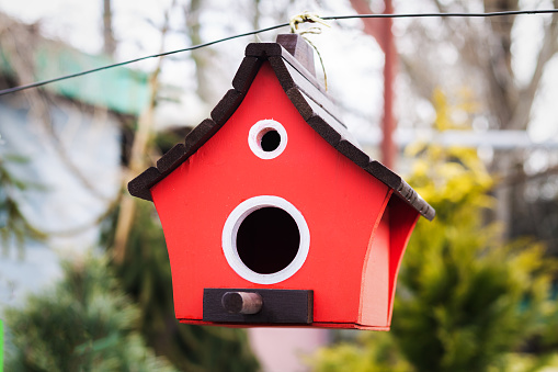 Red wooden nesting box or birdhouse hanging