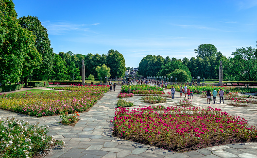 Oslo, Norway - August 13 2022: Vigeland Park in Frogner Park, with the large collection of Norwegian roses and the Vigeland Installation.