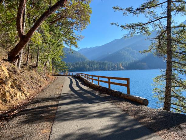 istock Spruce railroad trail, Olympic peninsula 1443371348