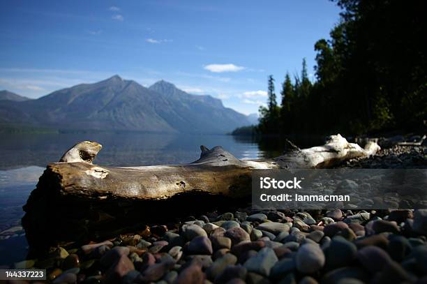 Registo No Lago Mcdonald - Fotografias de stock e mais imagens de Ao Ar Livre - Ao Ar Livre, Beira d'Água, Cena de tranquilidade