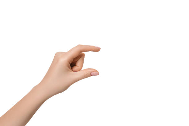 istock Female hand as if holding something or showing size, isolate empty hands. 1443373374