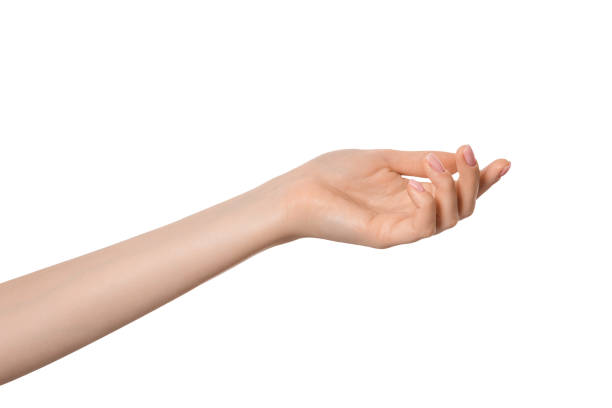 istock Gesture with hand open and ready to help or receive isolated. Empty hand palm up. 1443373387