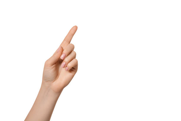 istock The empty hand is clicking or pointing with the index finger. Isolated. 1443373389