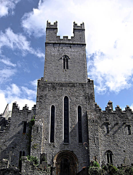 istock St. Mary's Cathedral, Ireland 144337399