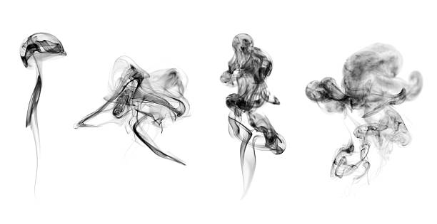 istock Collection of black smoke on white background 144337580