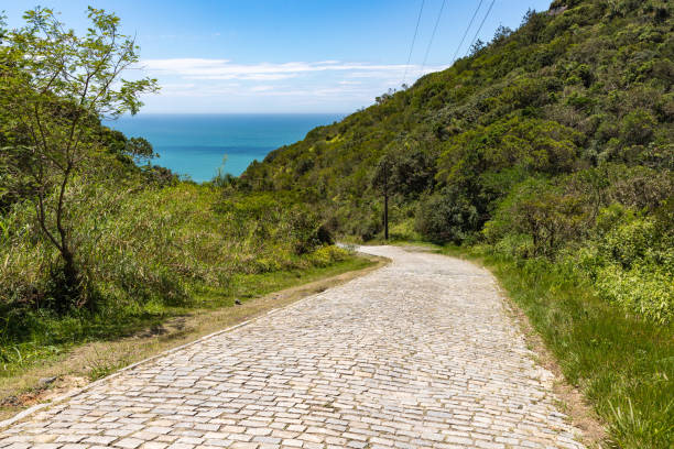 istock Road to the beach 1443377929