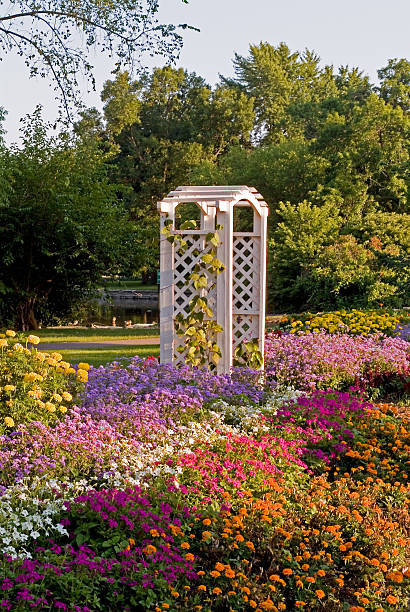 Garden Arbor Garden arbor in a bed of multi-colored flowers with green trees as a backdrop majkav stock pictures, royalty-free photos & images