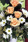 blumen.jpg?b=1&s=170x170&k=20&c=lIoxc9NNqe_eRmeNLXLDOHOGHGKW3p0q3BC5mGJHr_0=