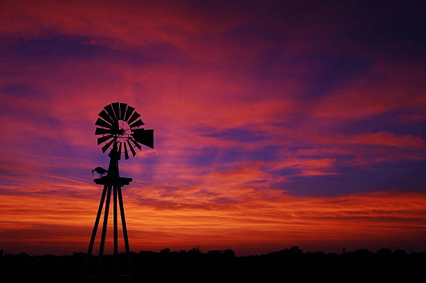 istock A beautiful sunset in Texas on a farm 144337903