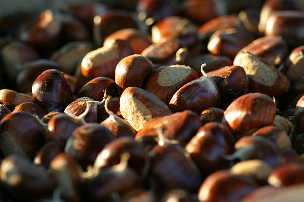 Chestnuts in basket stock photo