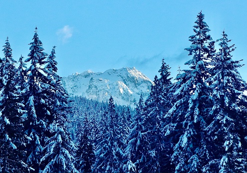 Mount Angeles in Olympic National Park covered in snow