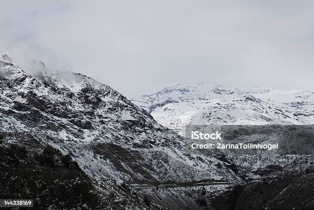 アンデスの山々に - よじ登るのストックフォトや画像を多数ご用意 - よじ登る, アンデス山脈, クローズアップ