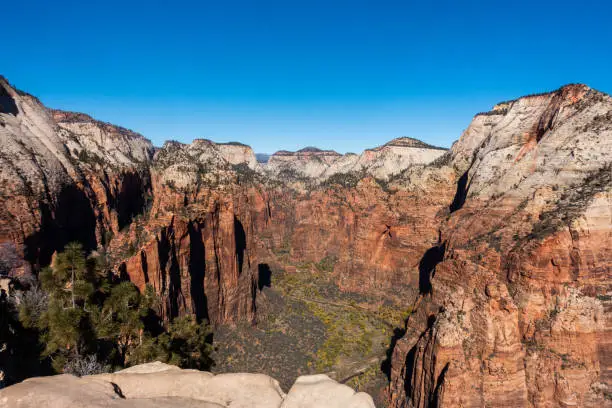 View from the top of Angels Landing in Zion National Park in the fall.