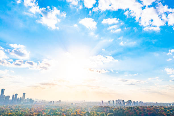 istock Downtown and Rosedale at dusk in Autumn, Toronto, Canada 1443383758