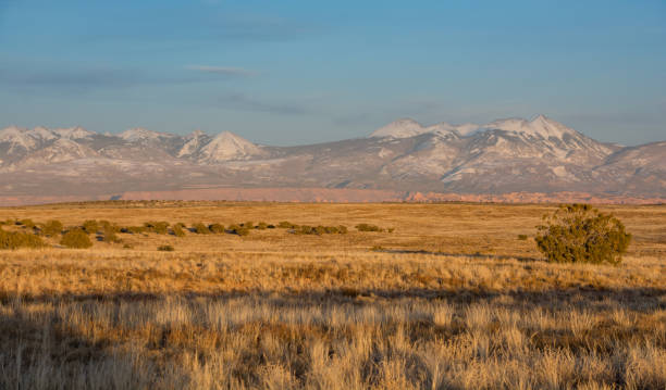 istock Grass prairie in Canyonlands at sunset 1443384024