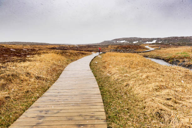Newfoundland, Canada.