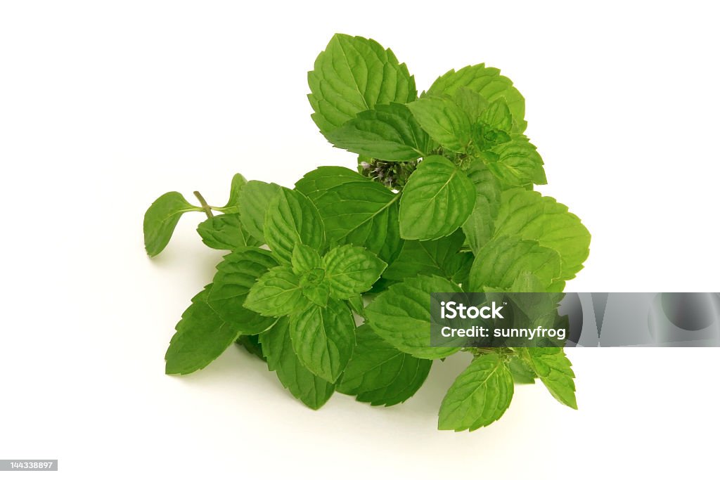 fresh green spearmint fresh green mint isolated over white background Bundle Stock Photo