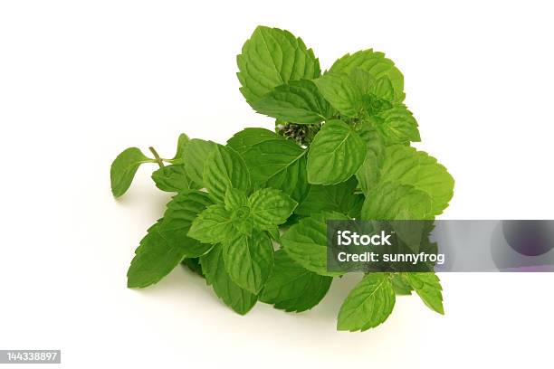 Fresh Green Spearmint Stock Photo - Download Image Now - Bundle, Close-up, Cocktail