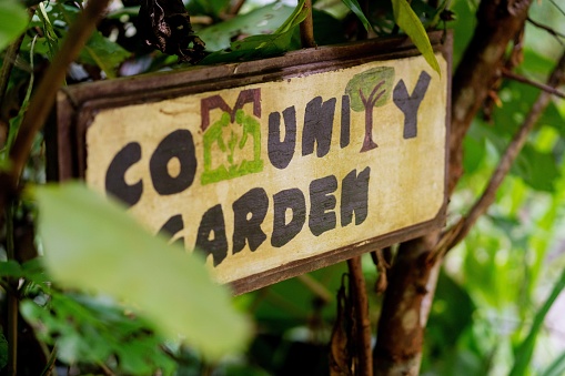 Community garden has become a hub for neighbourhoods to collaborate and to contribute to their community. Not only it helps them to get closer but also a rewarding activity for family.