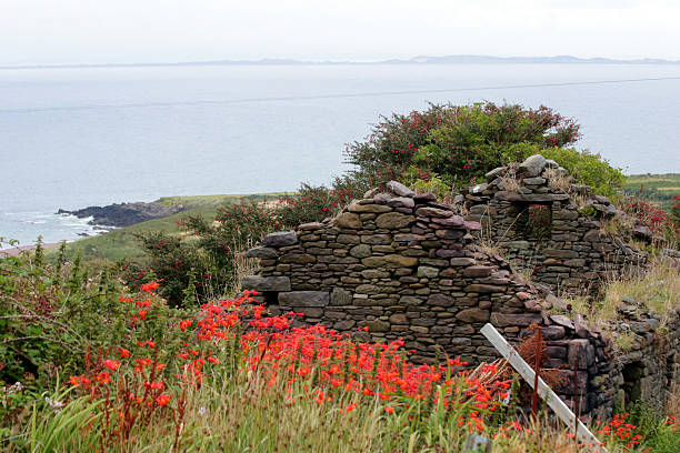 irish pietra celtica cottage con vista sul mare - republic of ireland irish culture cottage door foto e immagini stock