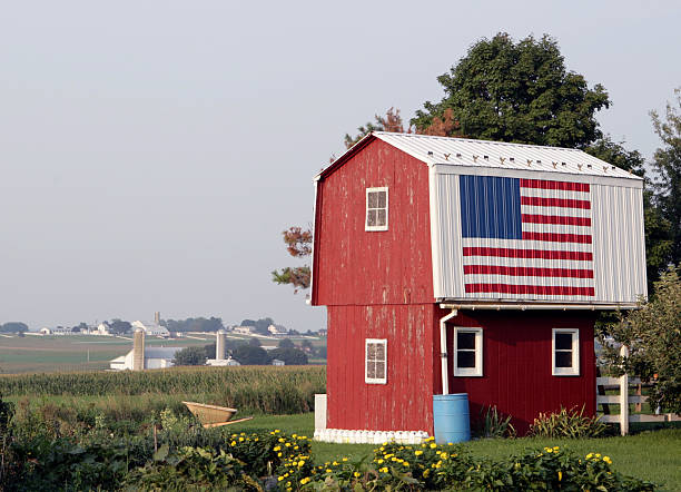 istock Little American Home 144339174
