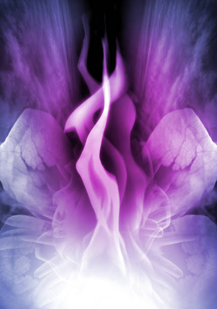 la llama violeta de saint germain - energía divina - transformación - lotus root fotos fotografías e imágenes de stock