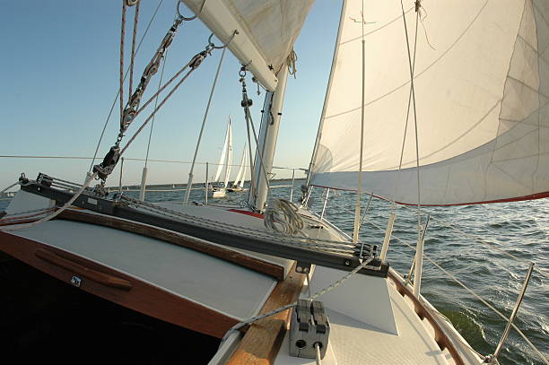 sail boat stock photo