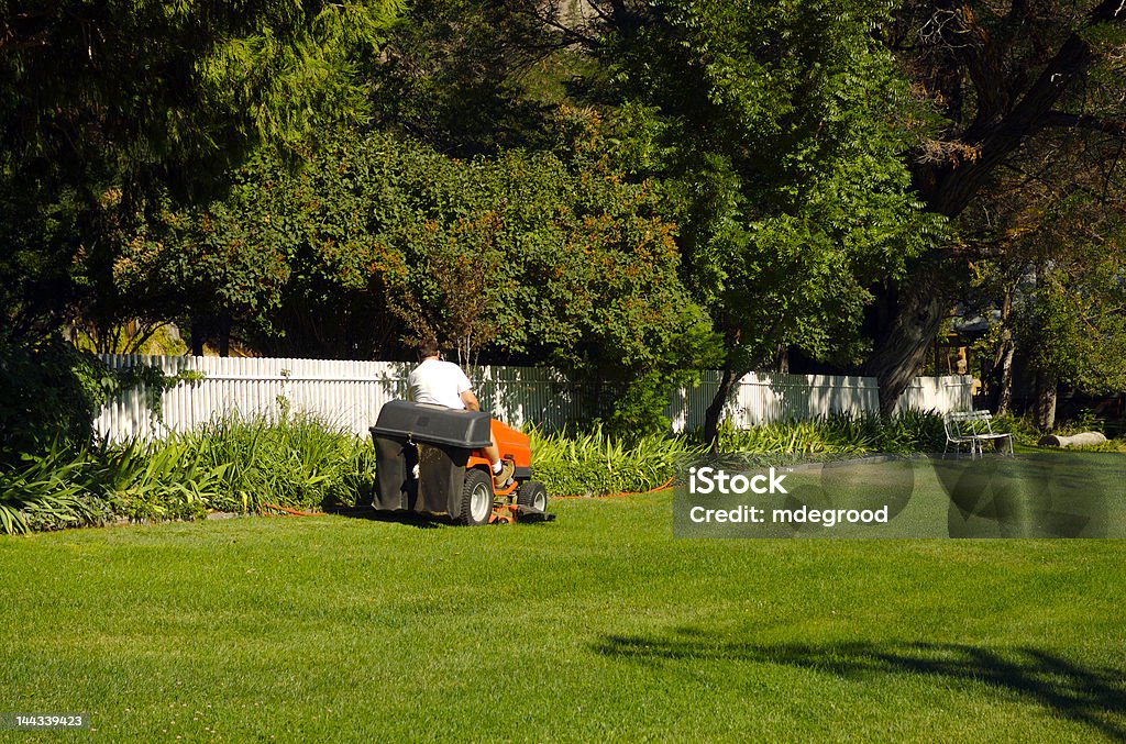 Riding lawn mower Man on riding lawn mower in lush setting Riding Mower Stock Photo