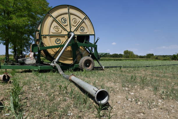 istock Equipment for irrigating agricultural 1443395840