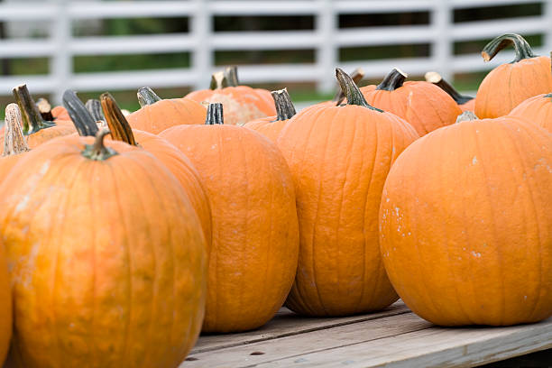 istock Pumpkins for Sale 144339615