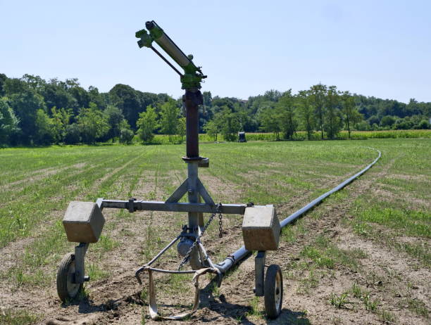 istock Equipment for irrigating agricultural 1443396676