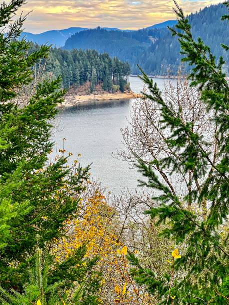 istock Swift Reservoir - Washington 1443397371