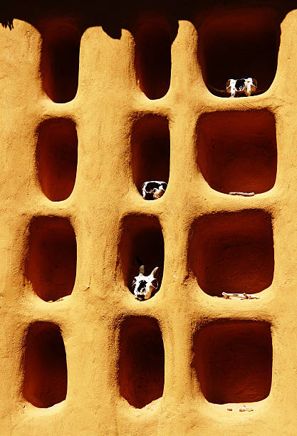 istock Dogon house detail 144339745