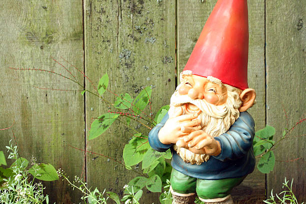 garden gnome lachen - zwerg stock-fotos und bilder