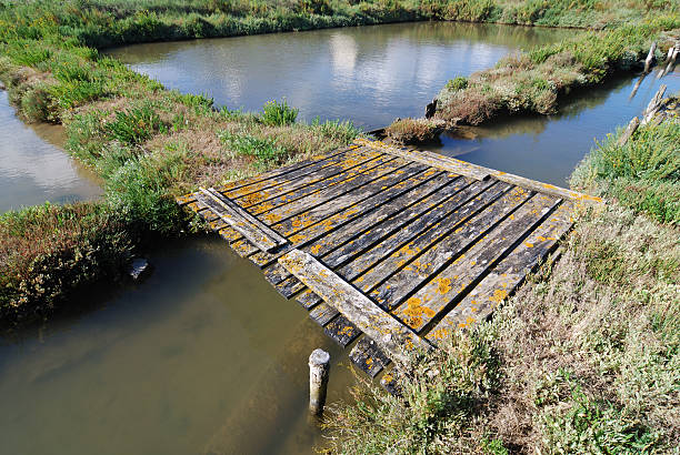 drewniany most w ścieżka - pond athwart footbridge bridge zdjęcia i obrazy z banku zdjęć