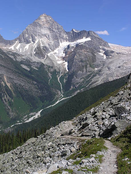 istock Abbott Ridge Trail, in Glacier National Park 144340338