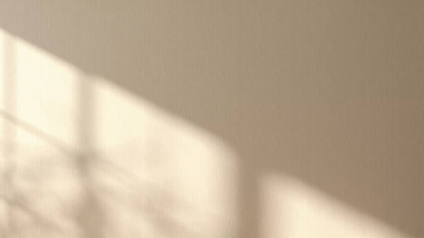 Beautiful soft dappled light and tree leaf shadow from window on blank beige gold colored wallpaper wall background