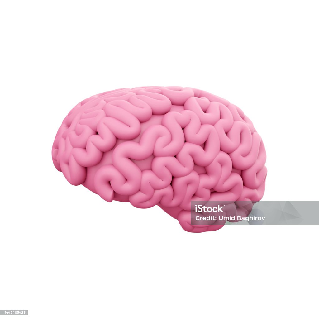 3d Hiển Thị Bộ Não Màu Hồng Tối Thiểu Suy Nghĩ Bong Bóng Lời Nói ...